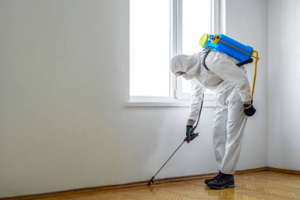 Wasp Removal Services in Cambridge Springs, PA