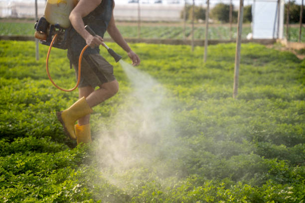 Best Pest Removal Services  in Cambridge Springs, PA