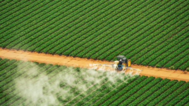 Best Commercial Pest Control Services  in Cambridge Springs, PA