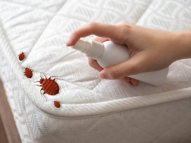 Best Flea Control Services  in Cambridge Springs, PA